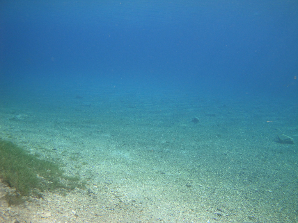 DSC00042~4.JPG