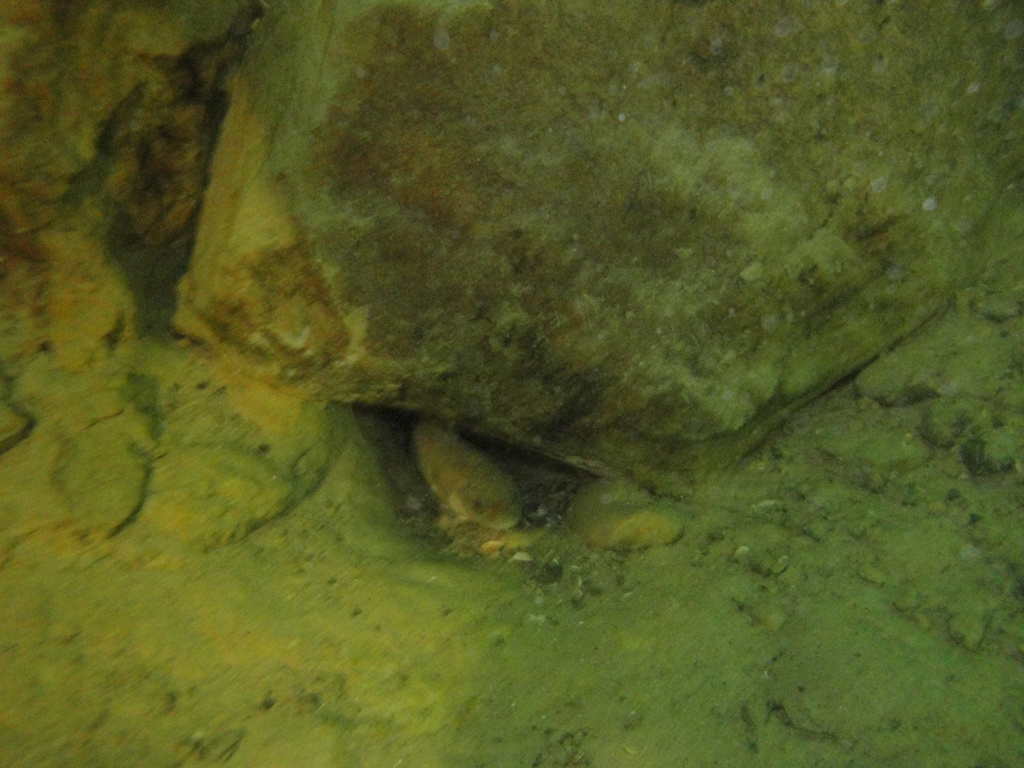 DSC00044~2.JPG