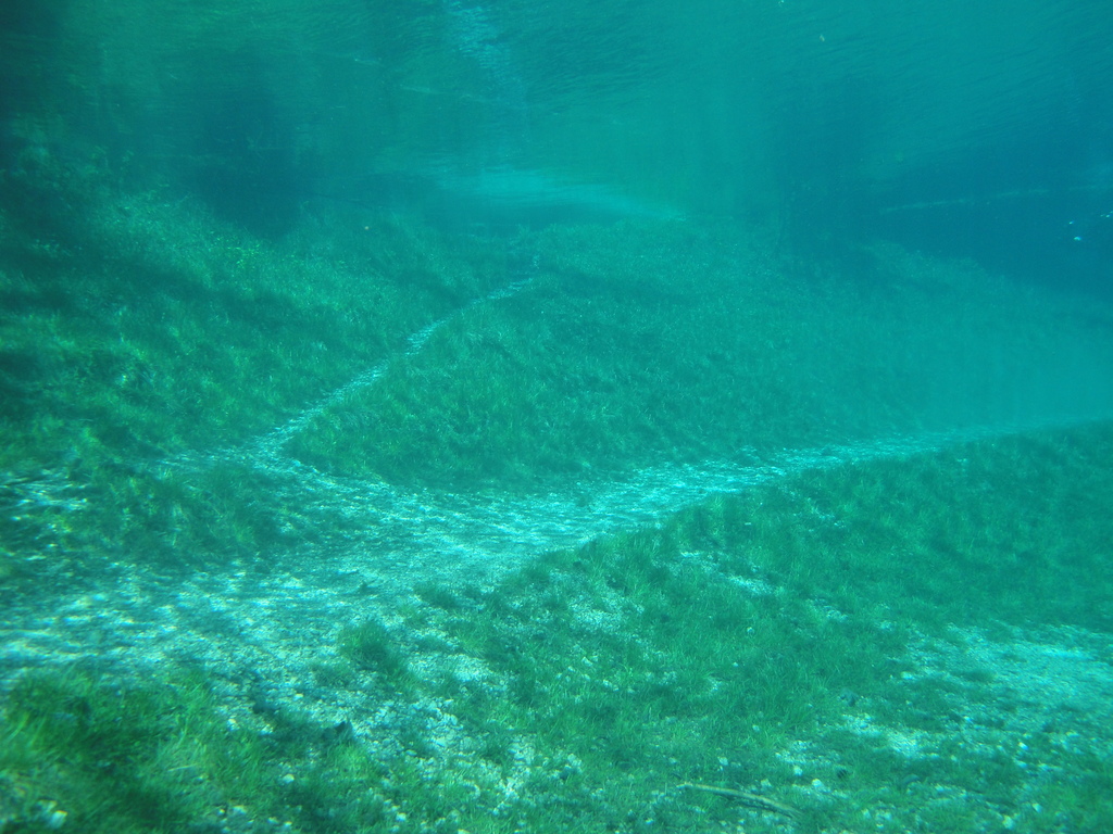 DSC00046~3.JPG