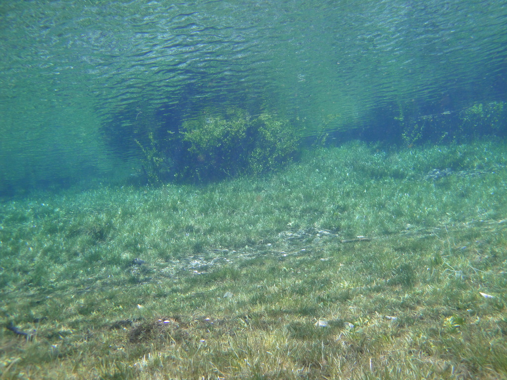DSC00057~2.JPG