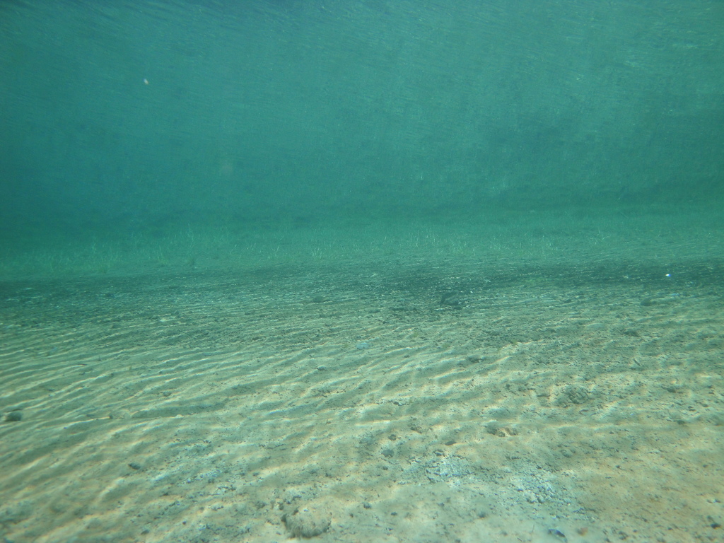 DSC00060~5.JPG