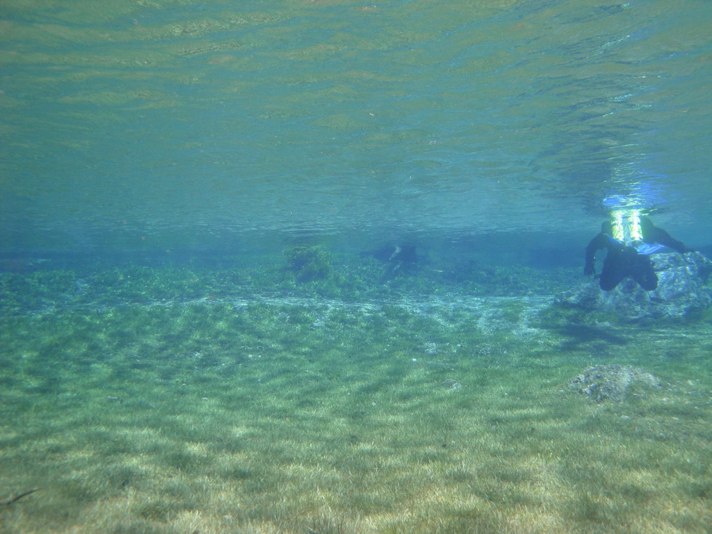DSC00061~2.JPG