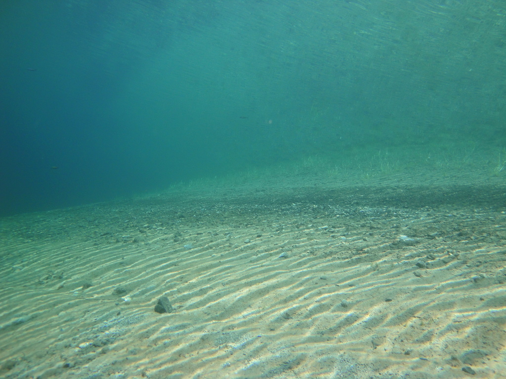 DSC00061~4.JPG