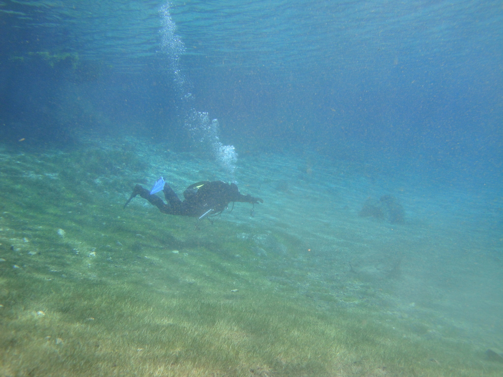 DSC00062~2.JPG