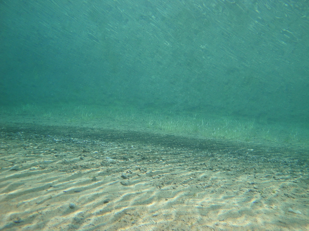 DSC00062~4.JPG