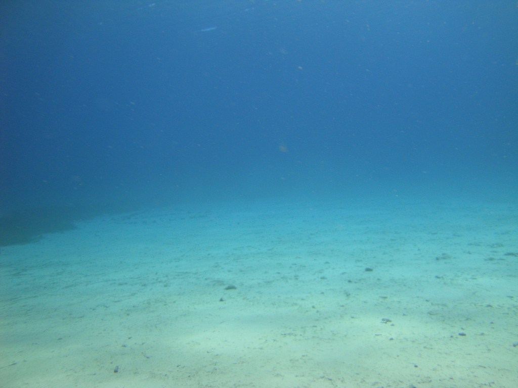 DSC00064~3.JPG