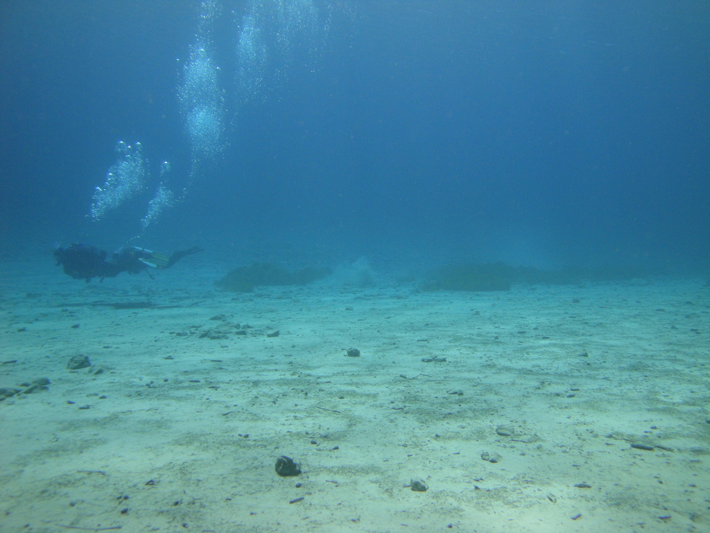 DSC00065~3.JPG