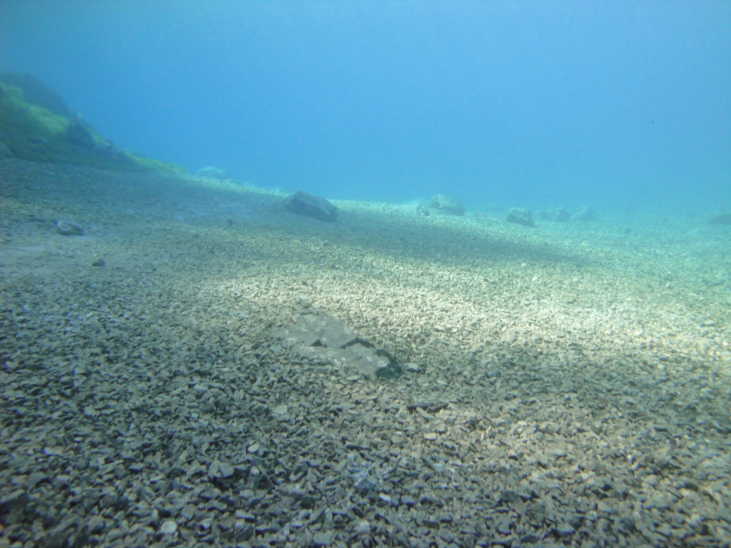 DSC00068~2.JPG
