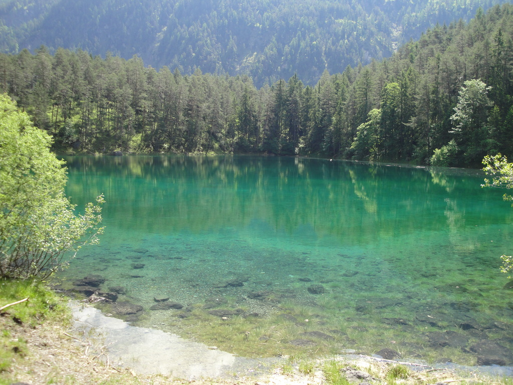 DSC00068~4.JPG