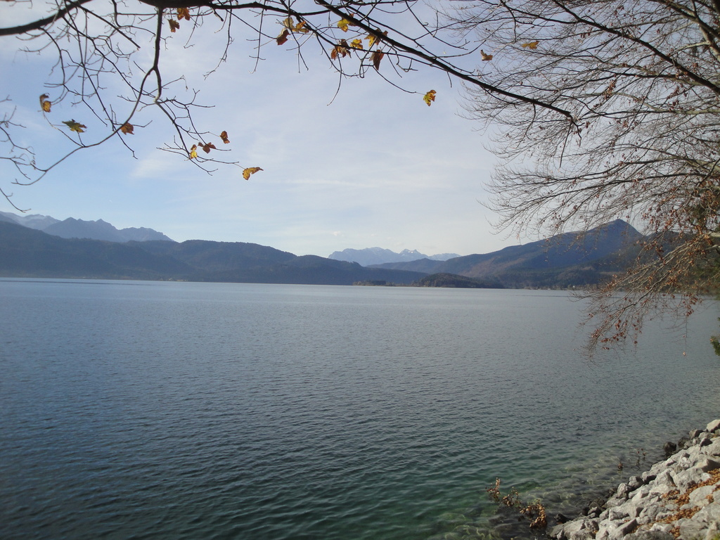 DSC00069~1.JPG