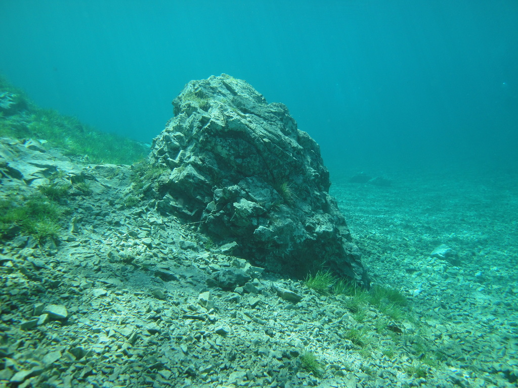 DSC00069~2.JPG