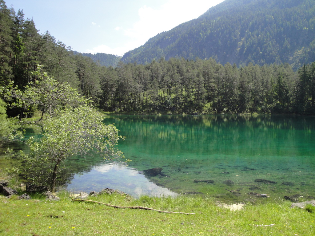 DSC00069~4.JPG