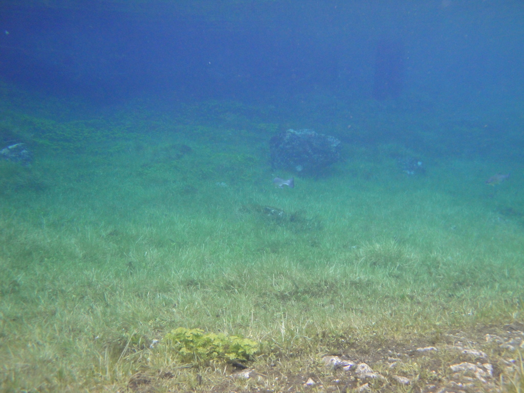 DSC00071~3.JPG