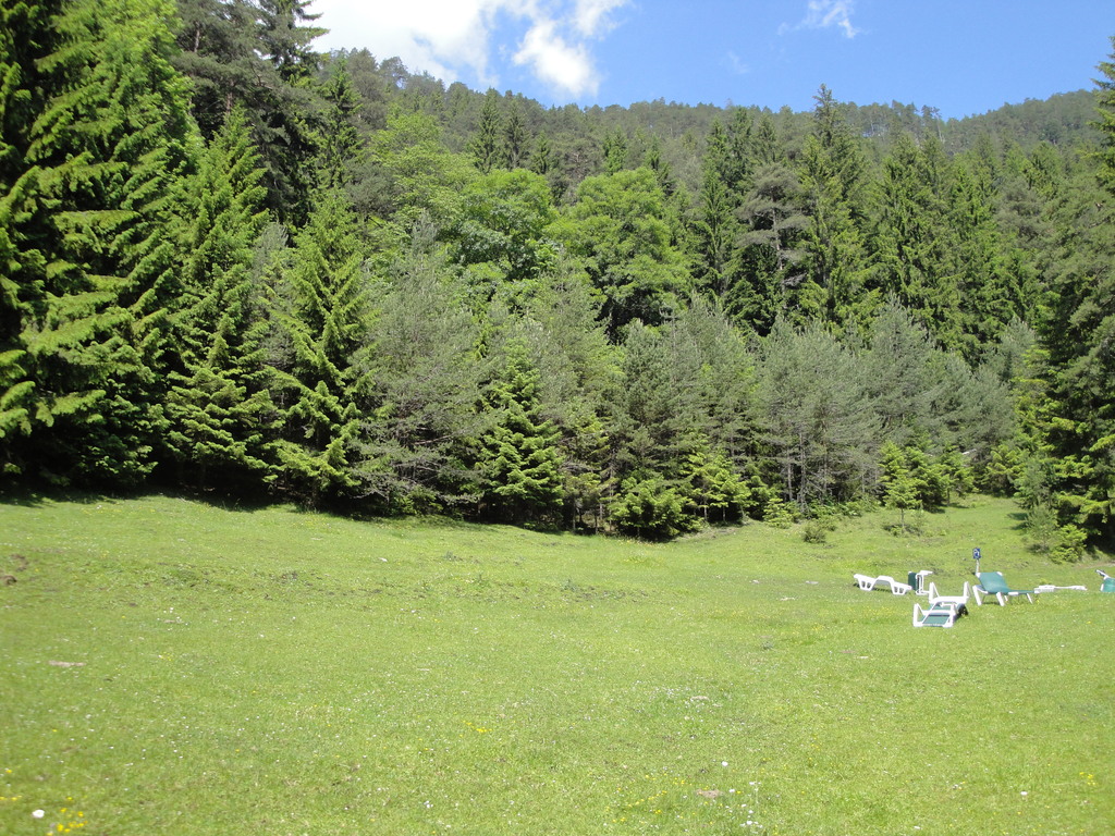 DSC00072~5.JPG