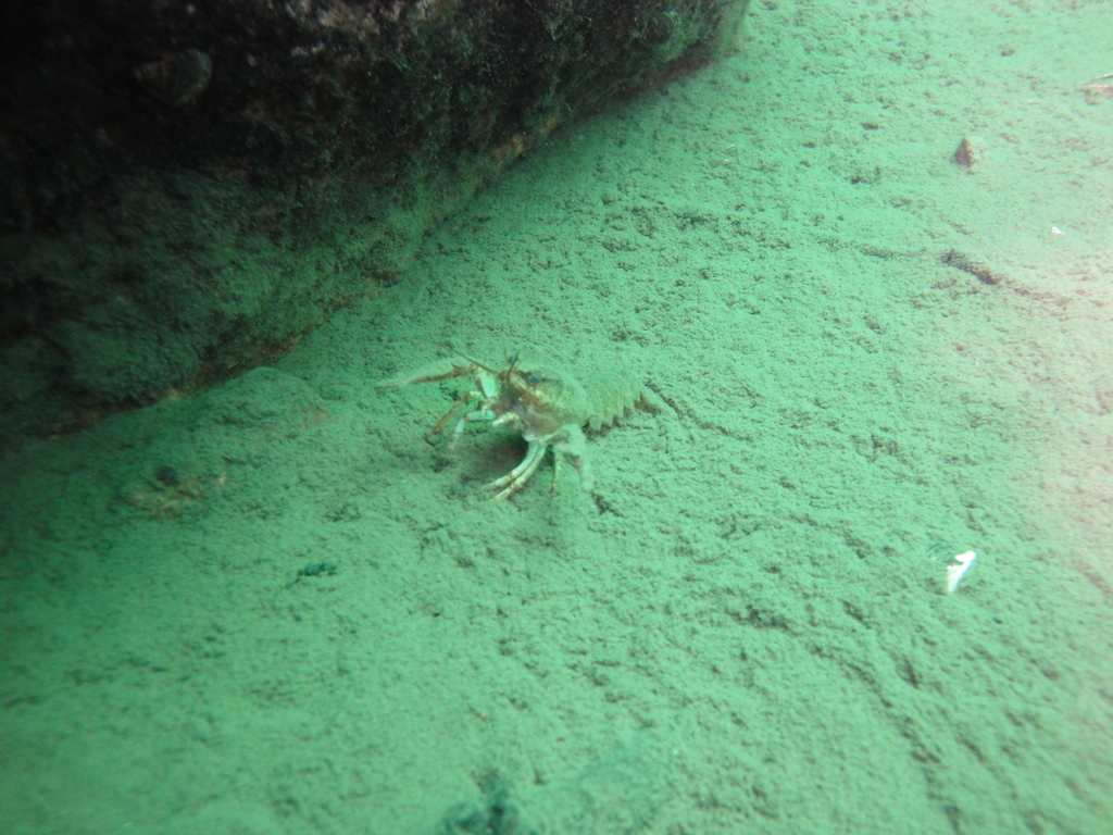 DSC00078~0.JPG