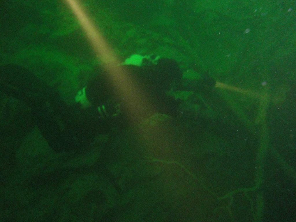 DSC00079~2.JPG