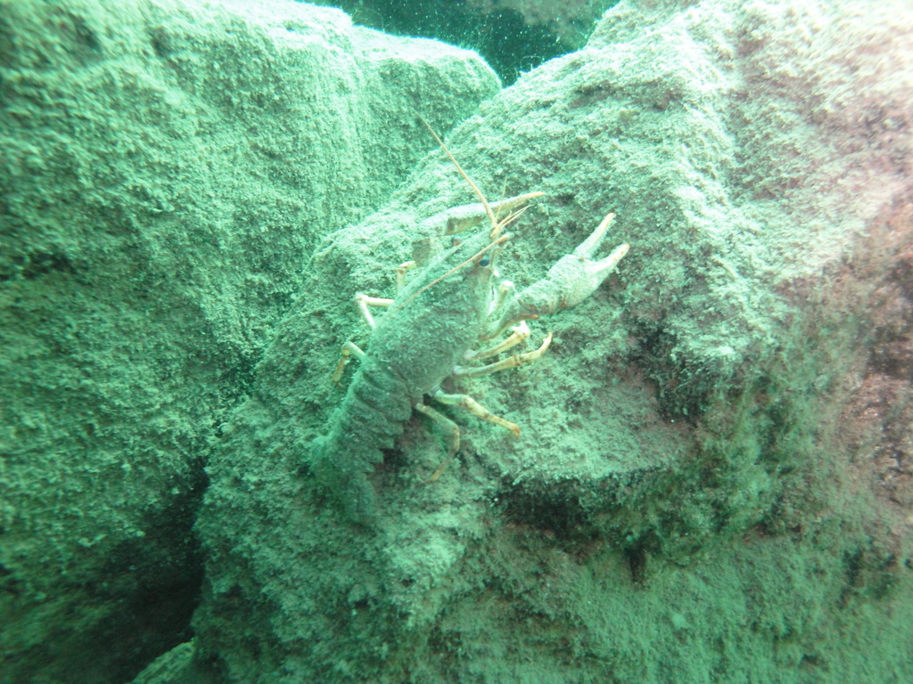 DSC00081~1.JPG