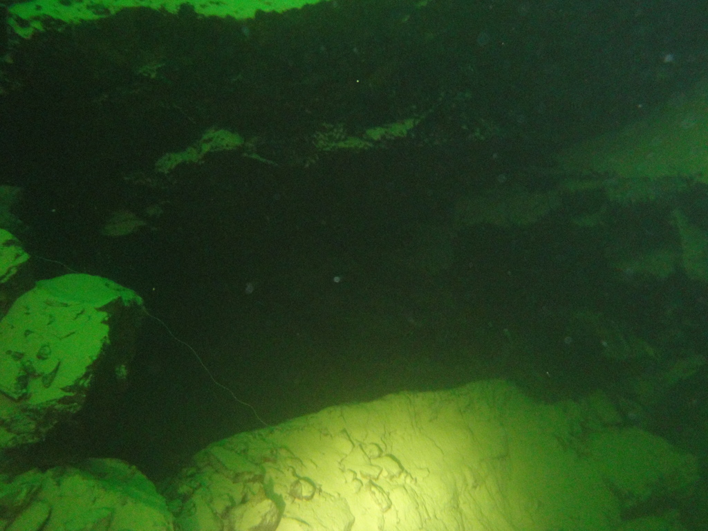 DSC00083~2.JPG