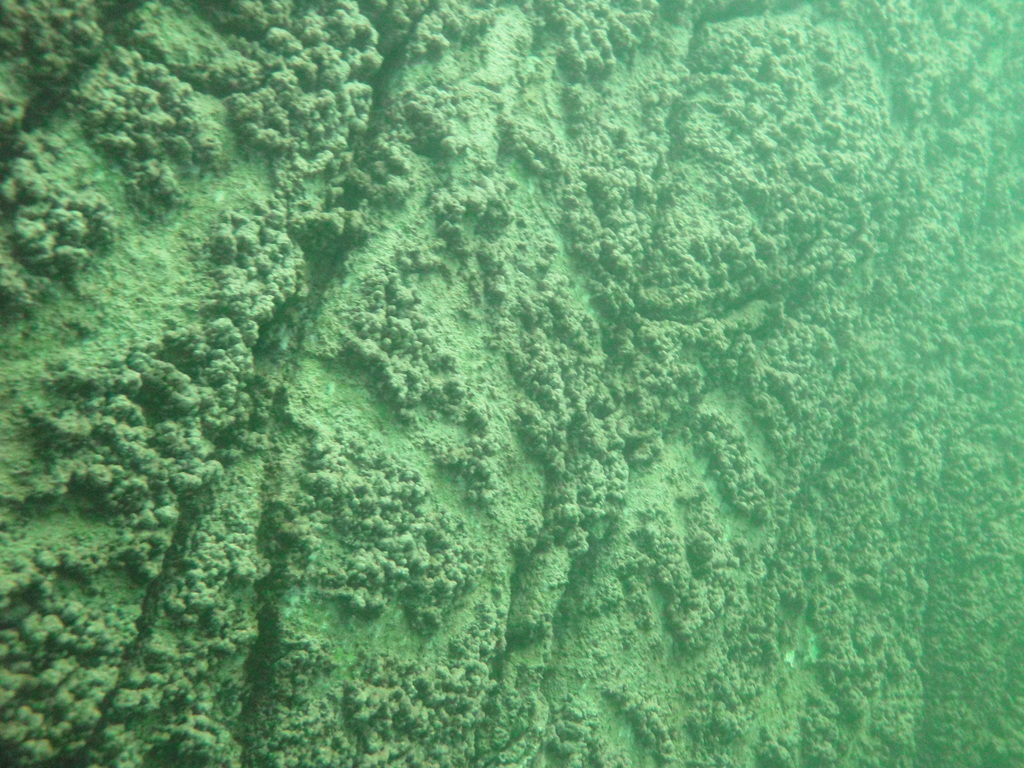 DSC00092~0.JPG
