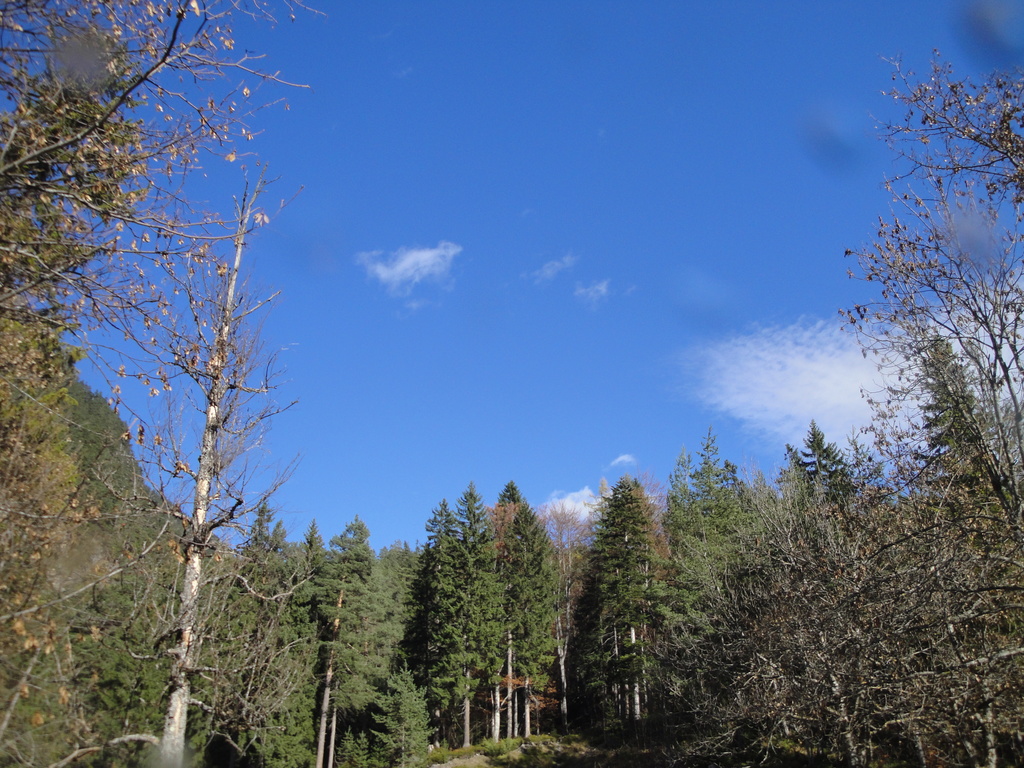 DSC00241~0.JPG