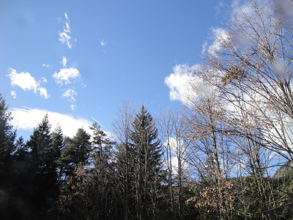 DSC00242~0.JPG
