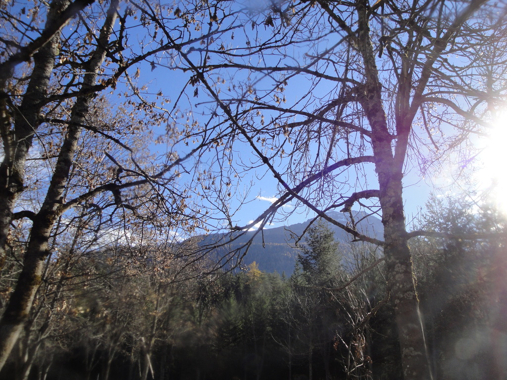 DSC00245~0.JPG