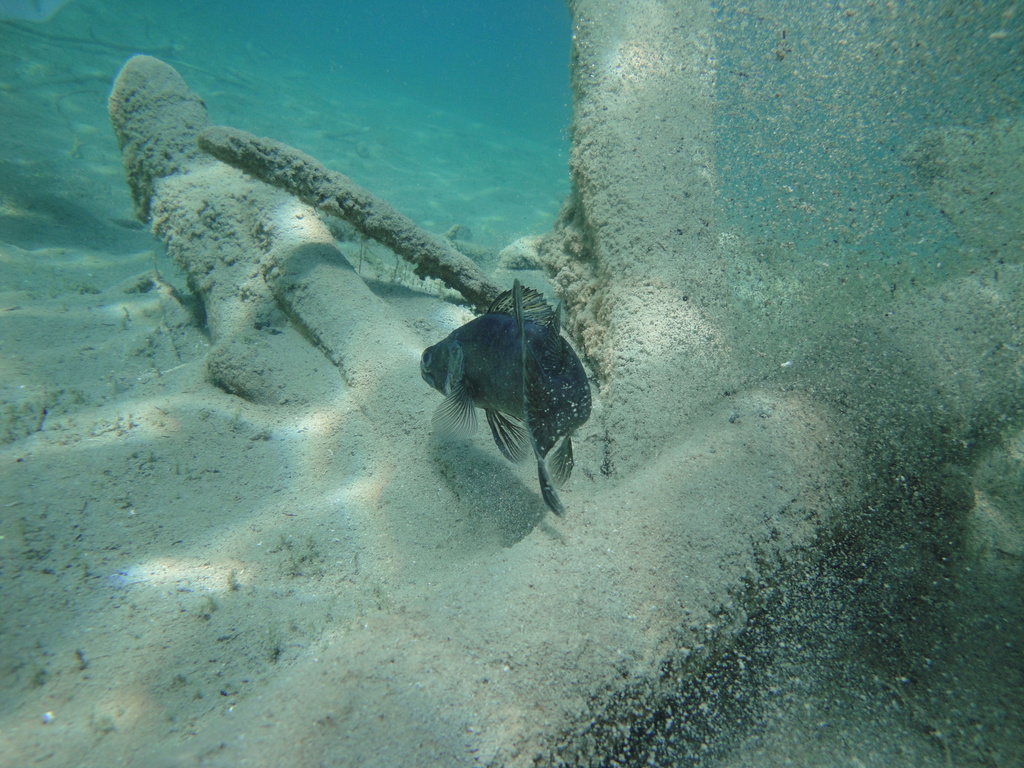 DSC00318~0.JPG