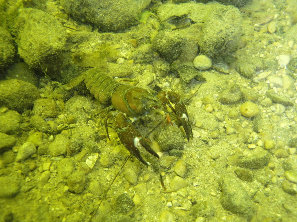 DSC00369.JPG
