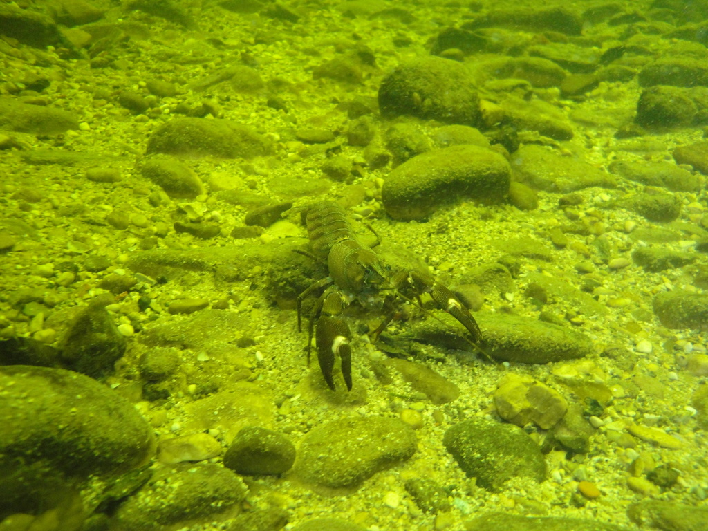 DSC00374.JPG