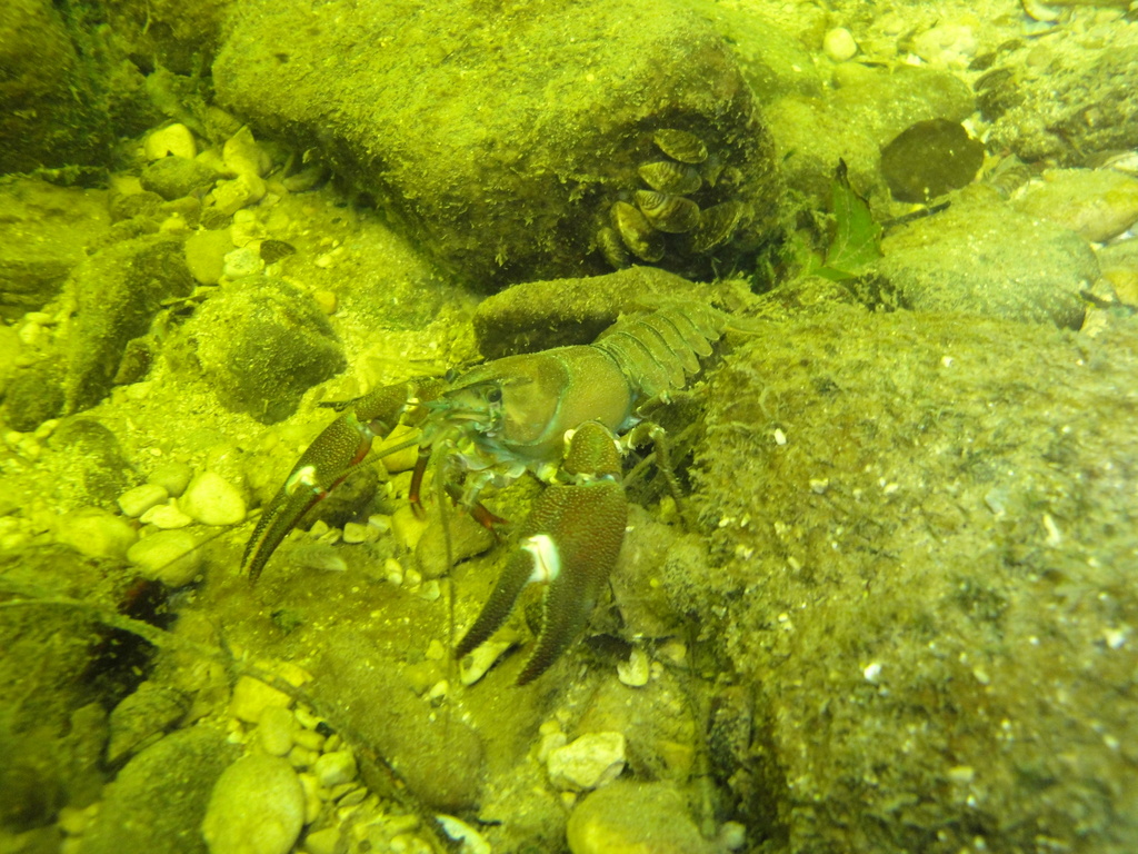 DSC00378.JPG