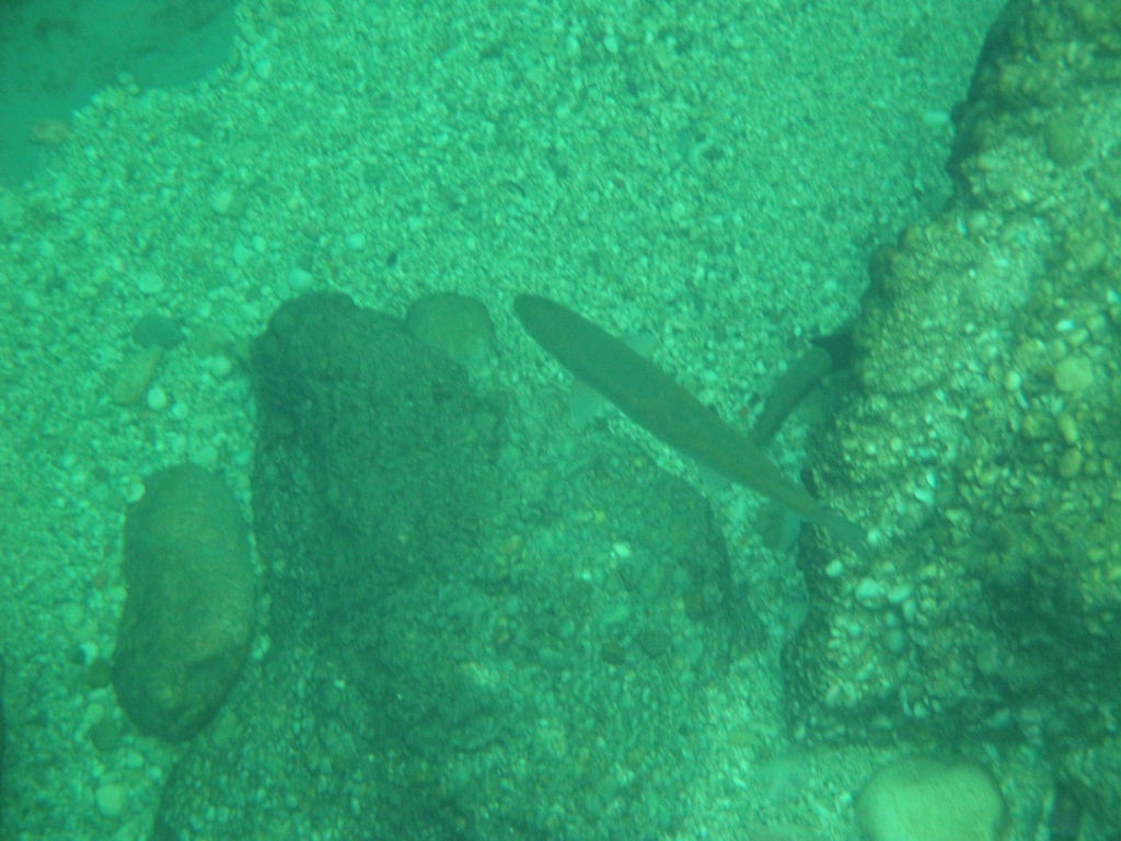 DSC00402.JPG