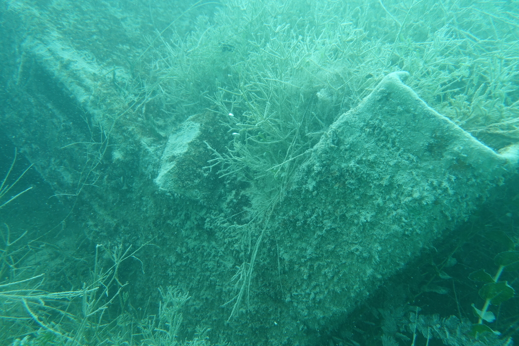 DSC00412~0.JPG