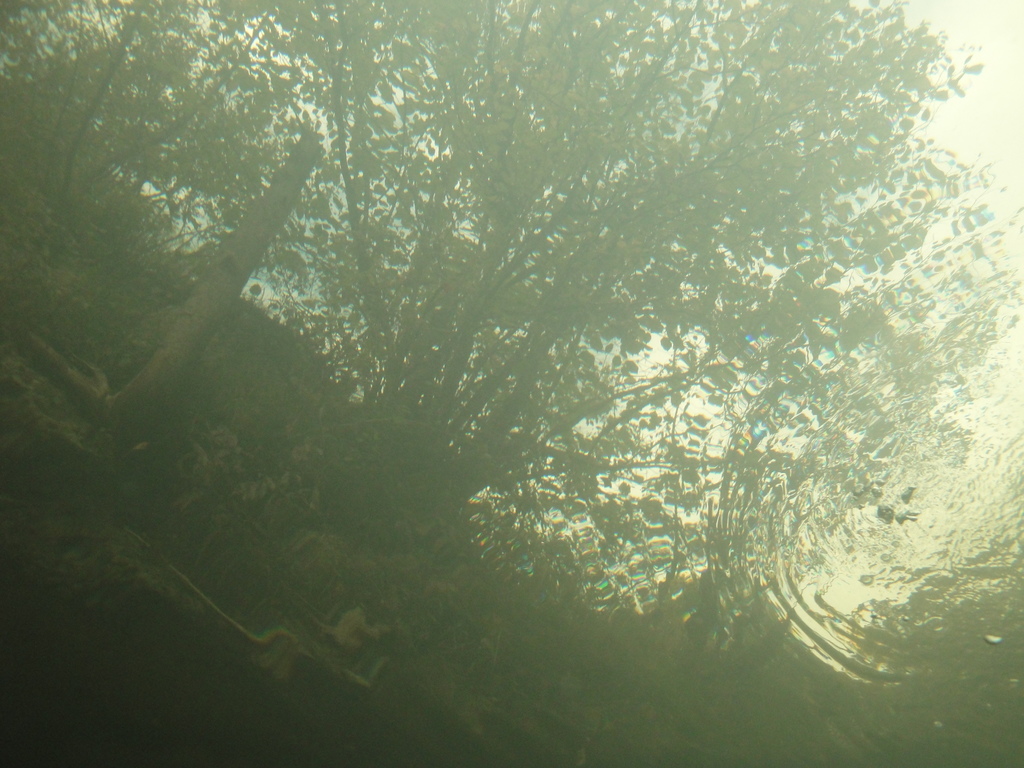 DSC00478.JPG