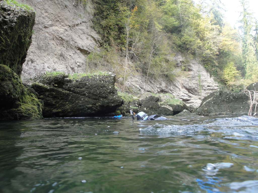 DSC00544.JPG
