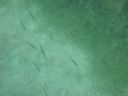 DSC00002~8.JPG