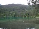 DSC00008~4.JPG