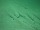 DSC00008~5.JPG