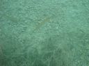 DSC00009~7.JPG