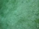 DSC00011~9.JPG