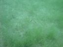 DSC00012.JPG