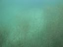 DSC00014~8.JPG
