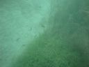 DSC00015~8.JPG