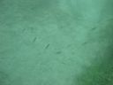 DSC00016~4.JPG