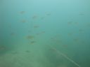 DSC00017~6.JPG