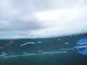 DSC00017~7.JPG