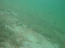 DSC00023~5.JPG