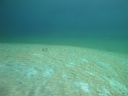 DSC00023~6.JPG