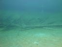 DSC00028~5.JPG