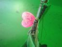 DSC00038~7.JPG