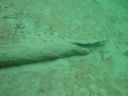 DSC00044~4.JPG